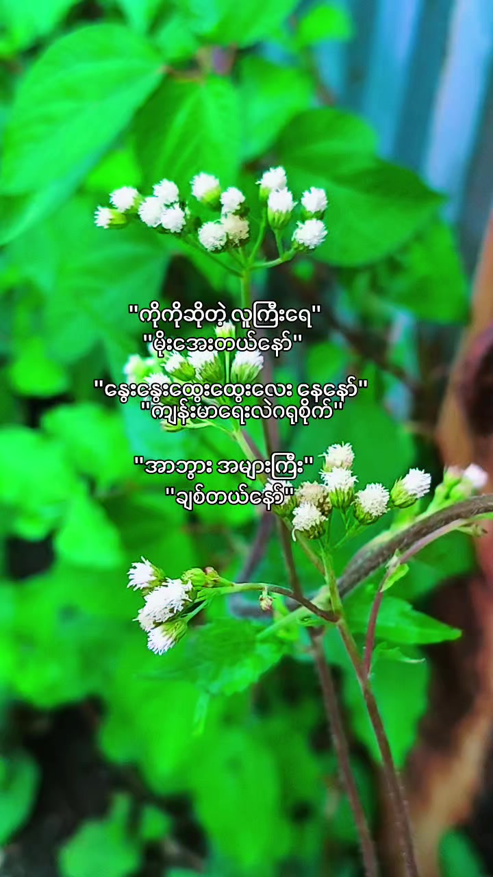 @๐ฅ๐ต๐๐๐ฆ๐ฅ๐ฟ๐๐ฆ๐ฅ(official)