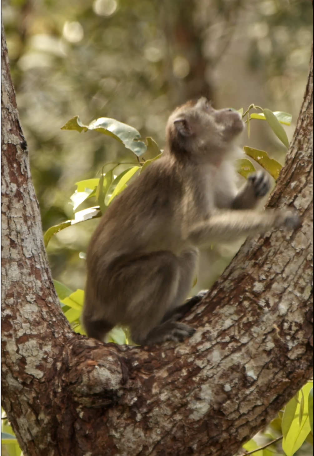 @Kai Meyer | Wildlife Filmmaker