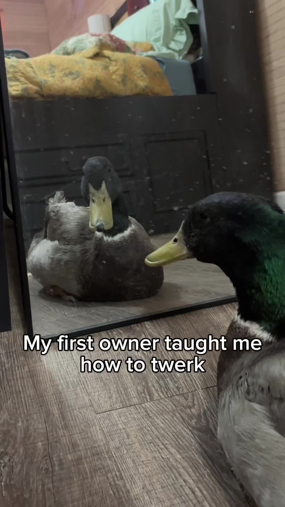 @Pablo and his friends