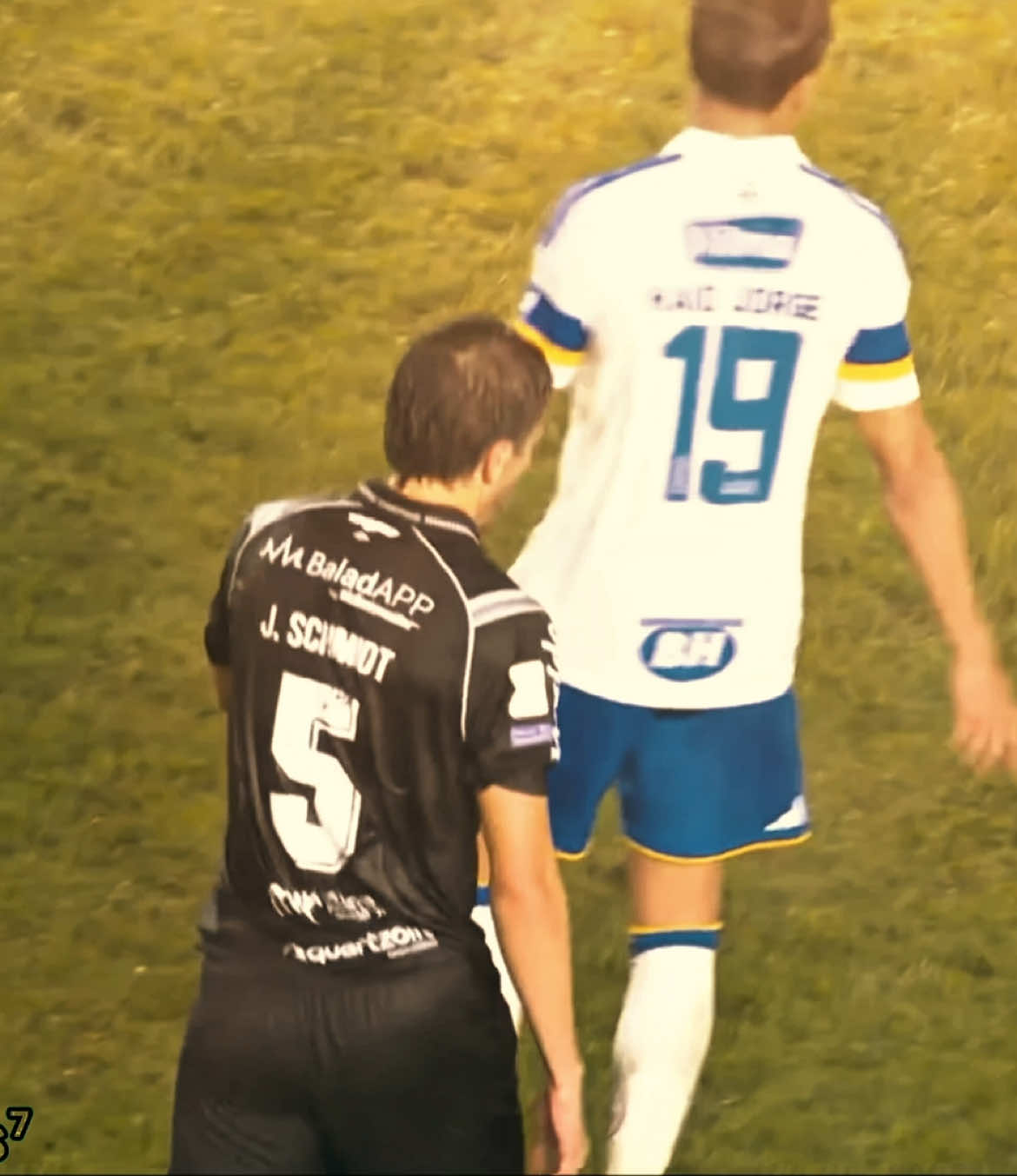 @Icaro_ls7