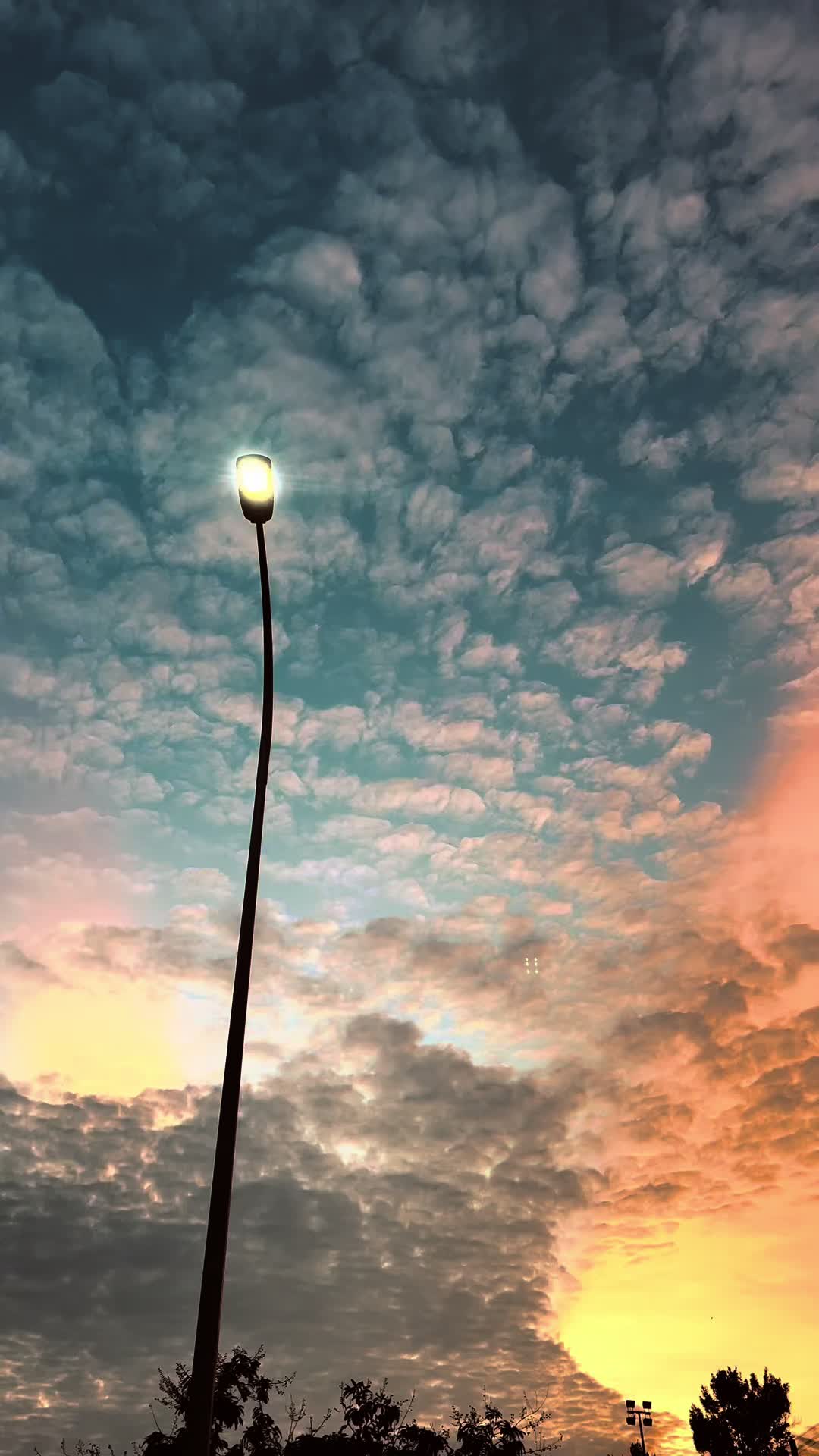 @𝘦𝘤𝘭𝘪𝘱𝘴𝘦.𝘮𝘱 🌒