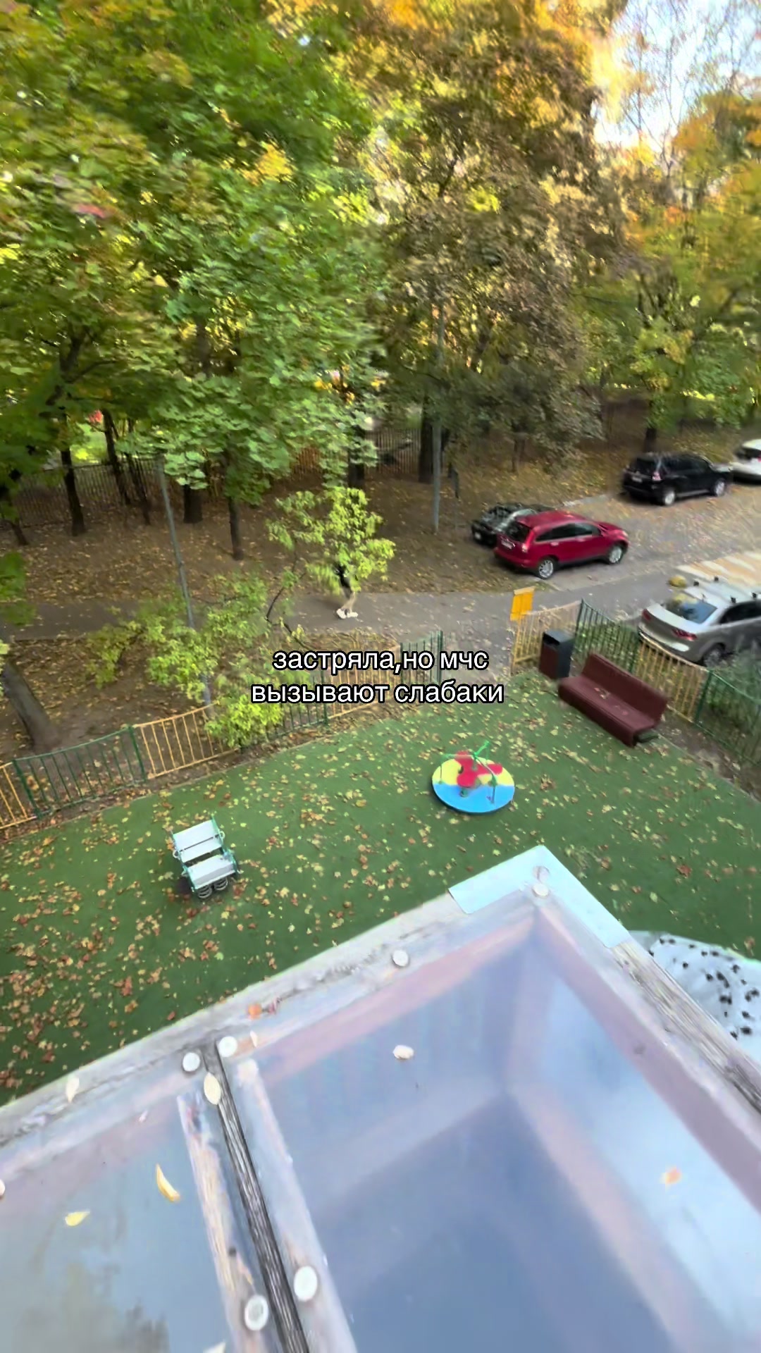 @сыч