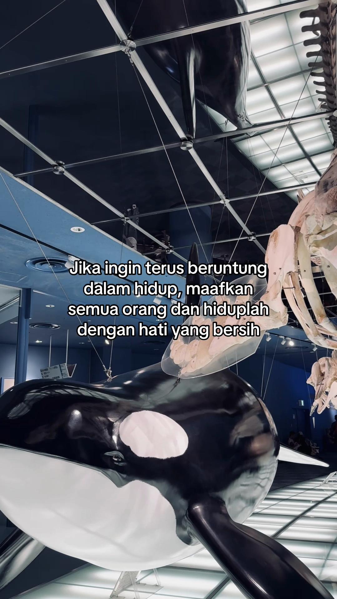 @𝖋𝖆𝖓𝖓 𝖍𝖒𝖜✧