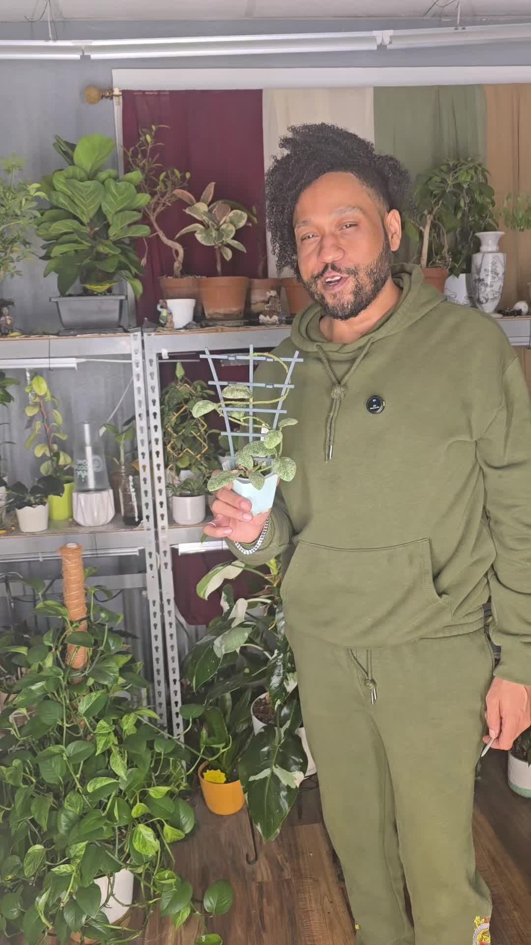 @JT - BigEGOPlants