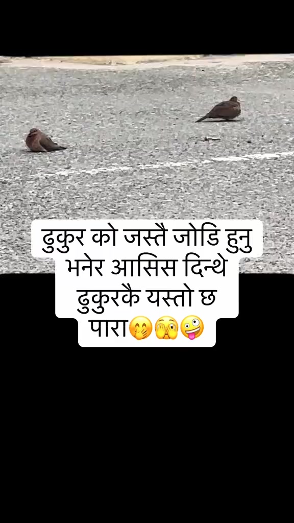 @bhuwan🤙