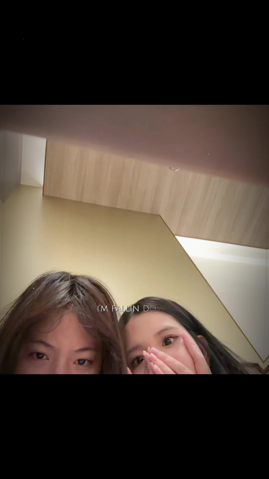 @chủ tịch gạo