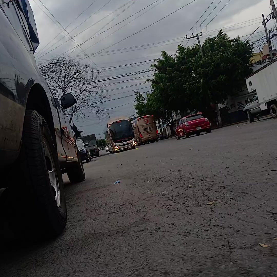 @🍁 " Busologuia_Mexico_NT "🍁