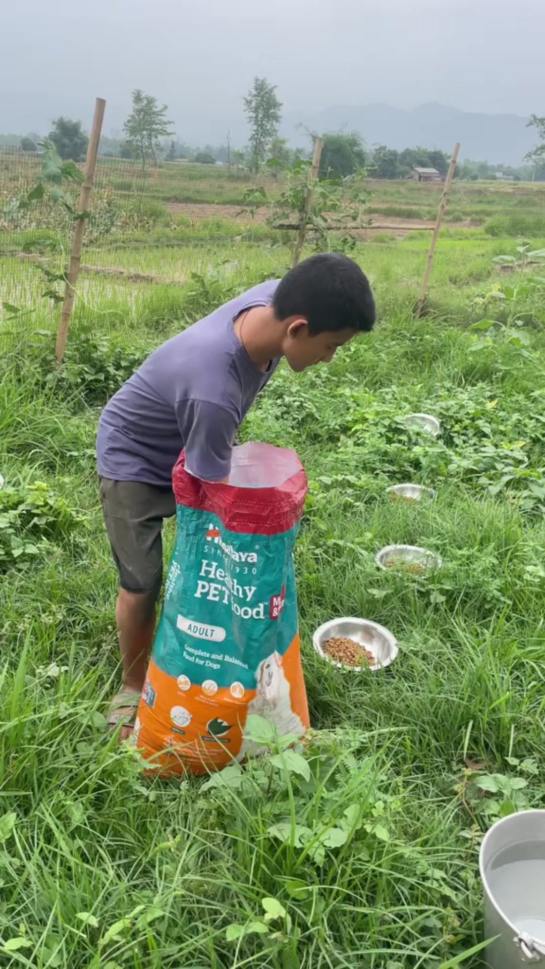 @Narayan karki