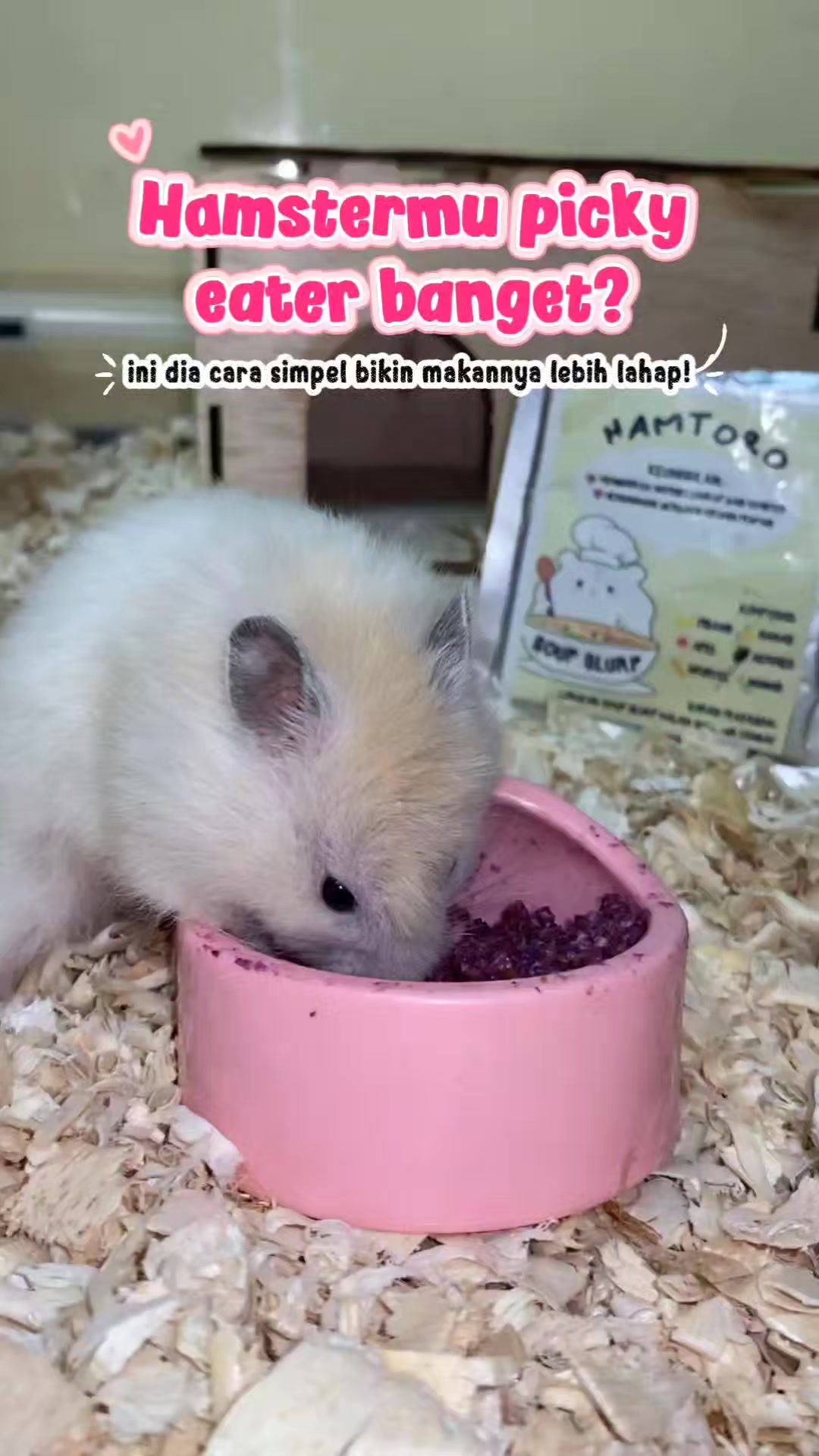 @TamaGo Pet