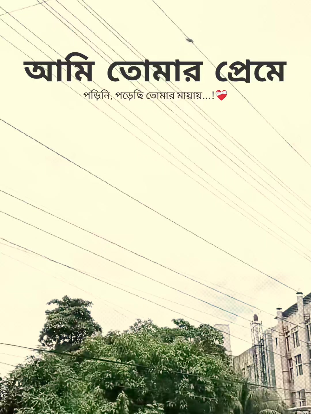 @꧁⭑শেষ পৃষ্ঠা⭑꧂