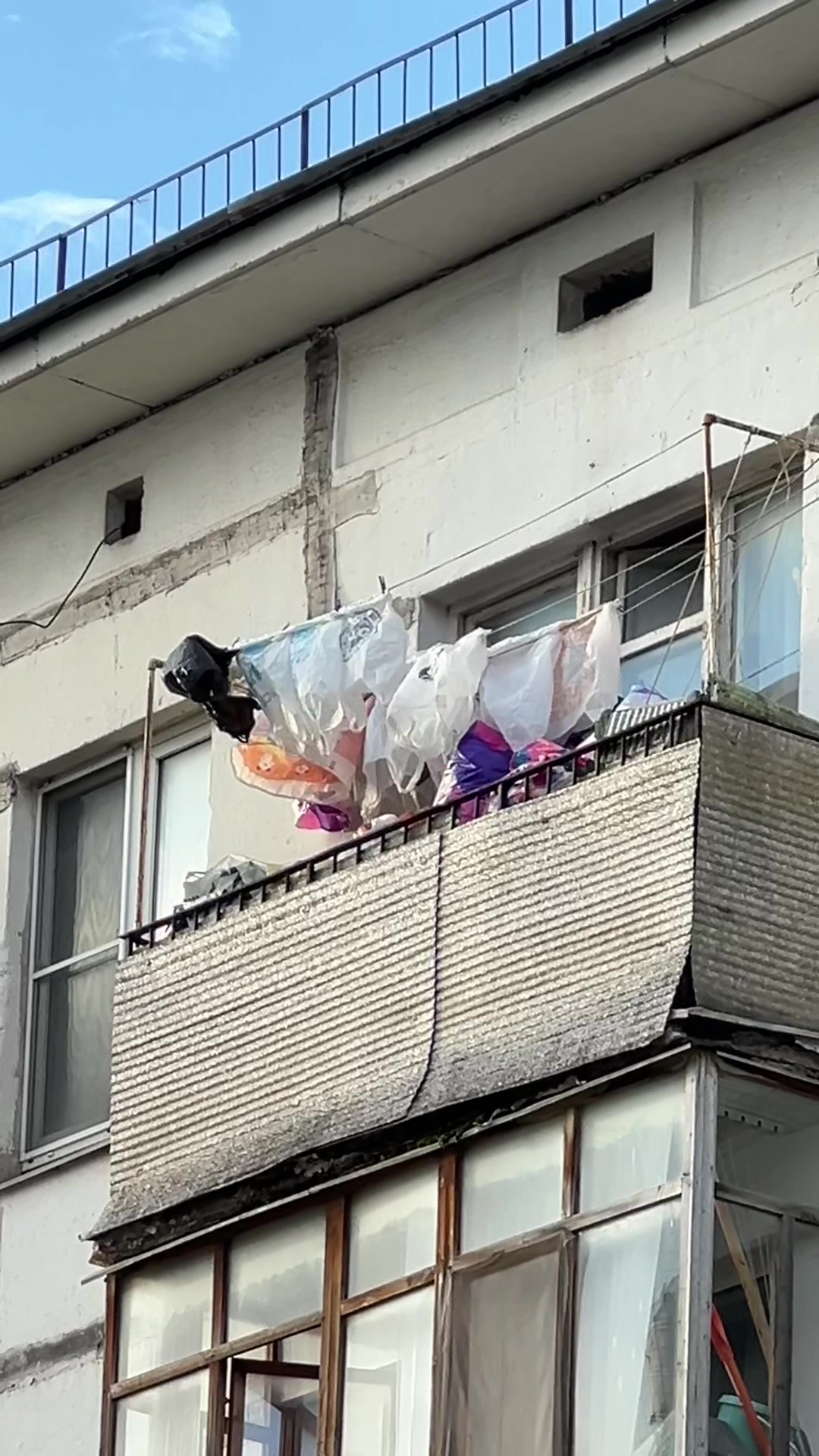 @дима яндекс