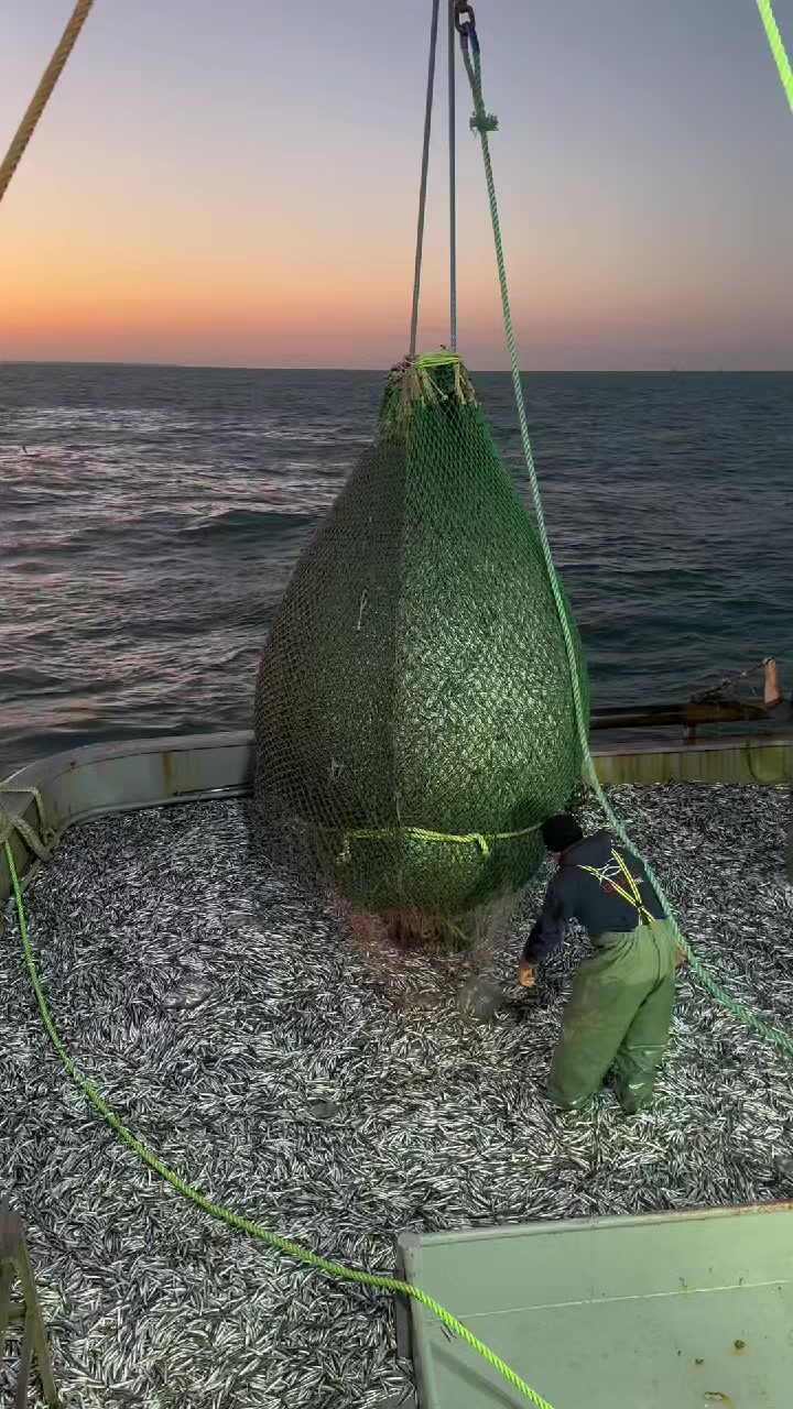 @🛳️h&agrave;m&igrave;d&oslash;⚓⚡R&aelig;ys&euml;🐬🏴&zwj;☠️