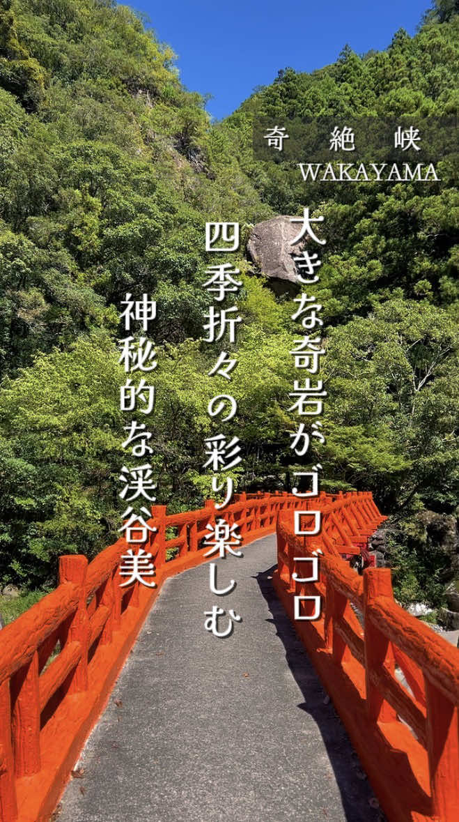@こぺ夫婦🍊和歌山お出かけ、時々旅行。