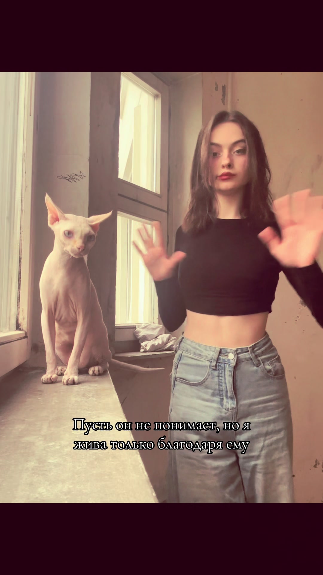 @alenenok_meow