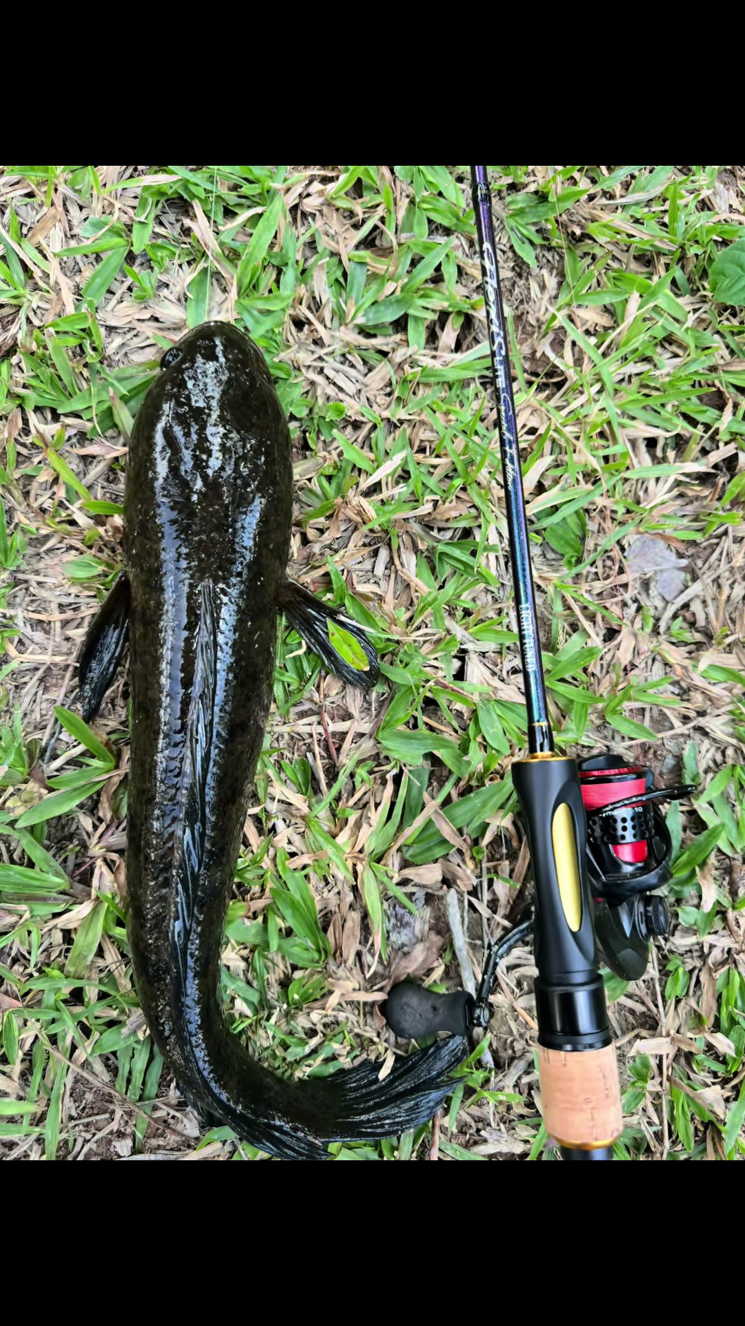 @NGW Angler