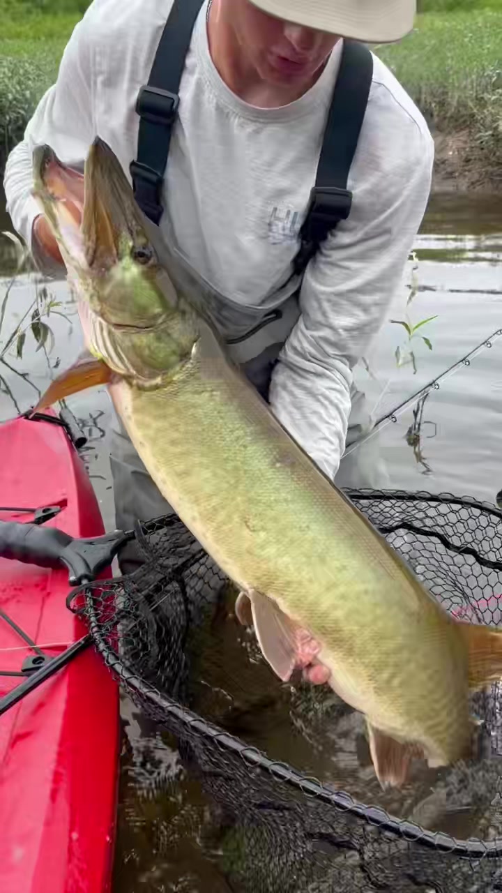 @HookedupSean🦈