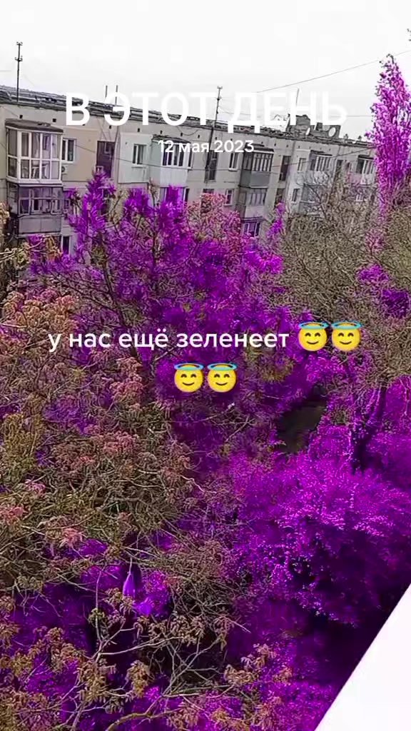 @Елена Малая.🥰👻👻👻