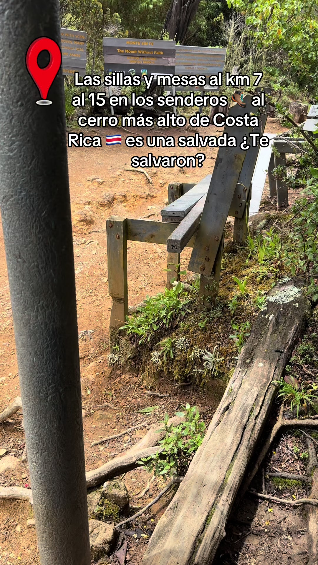 @Oxigenia Buseta Costa Rica