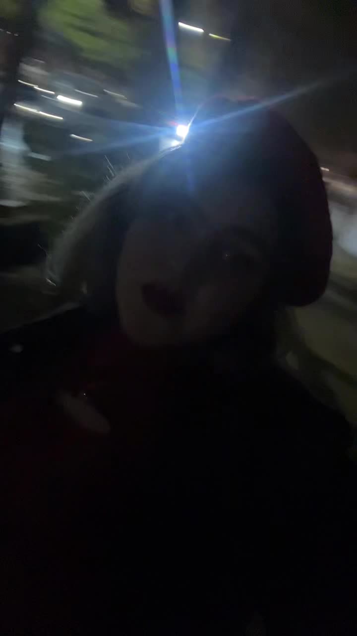 @Zahra Khaarestani