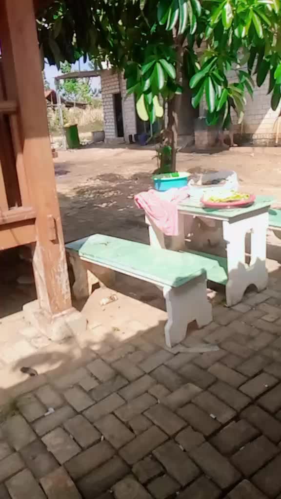 @Bodonghartoyo