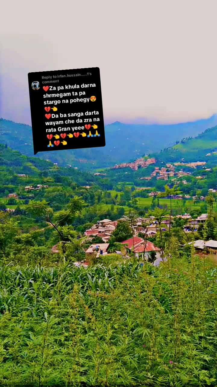 @It's Hiba 🕊️