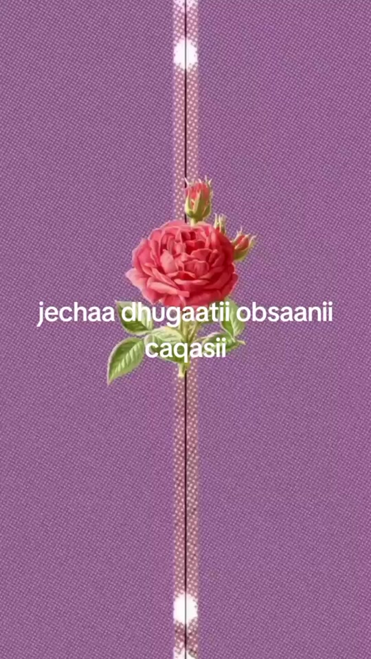 @JABUMMAA