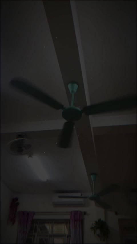 @ceiling fan is vietnam