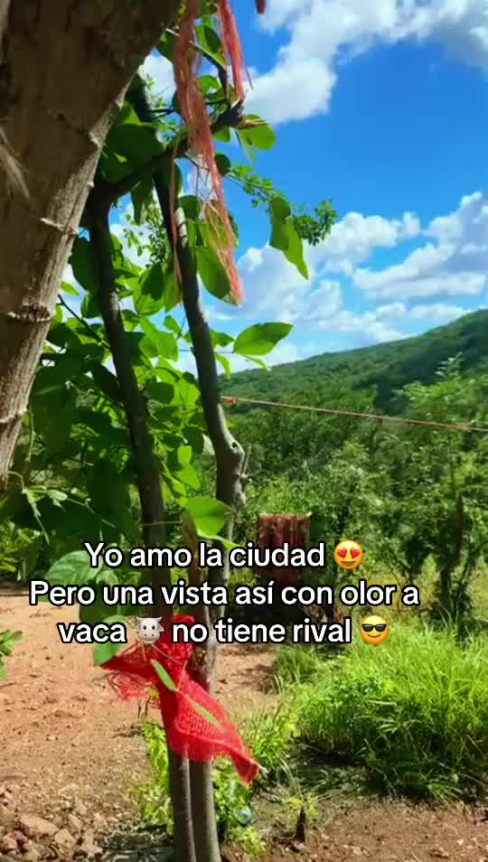 @✨🌺BETTYMARQUEZ🌺✨