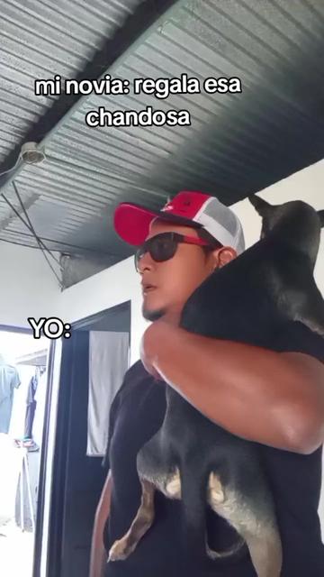 @ALFYULE