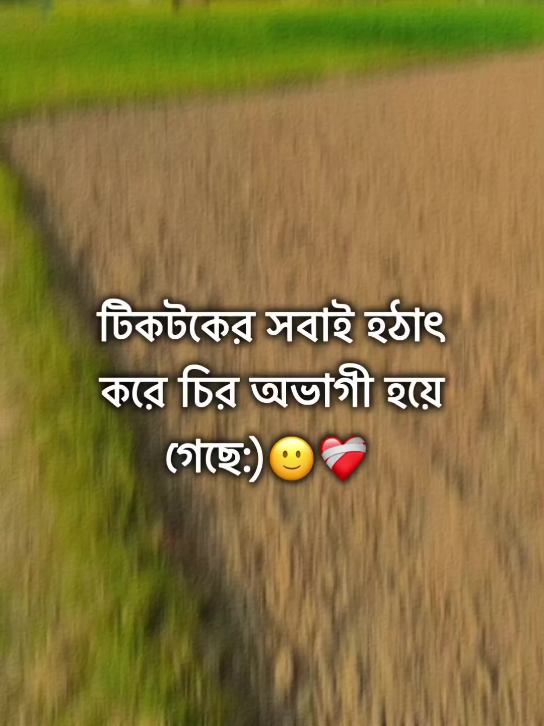@🌚🐸>জাতির_বউ'মা<🐸🌚