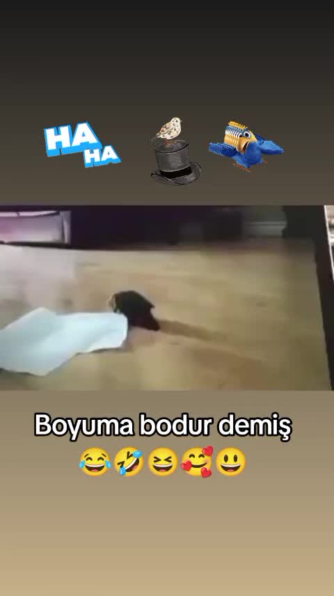 @✨Deniz_Yıldızı✨