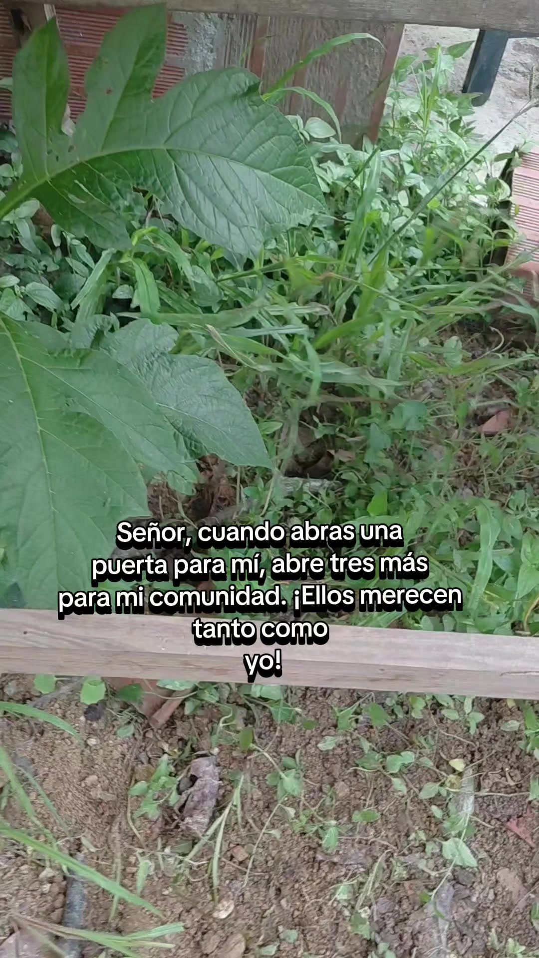 @Yessenia Robles | Emprendedora