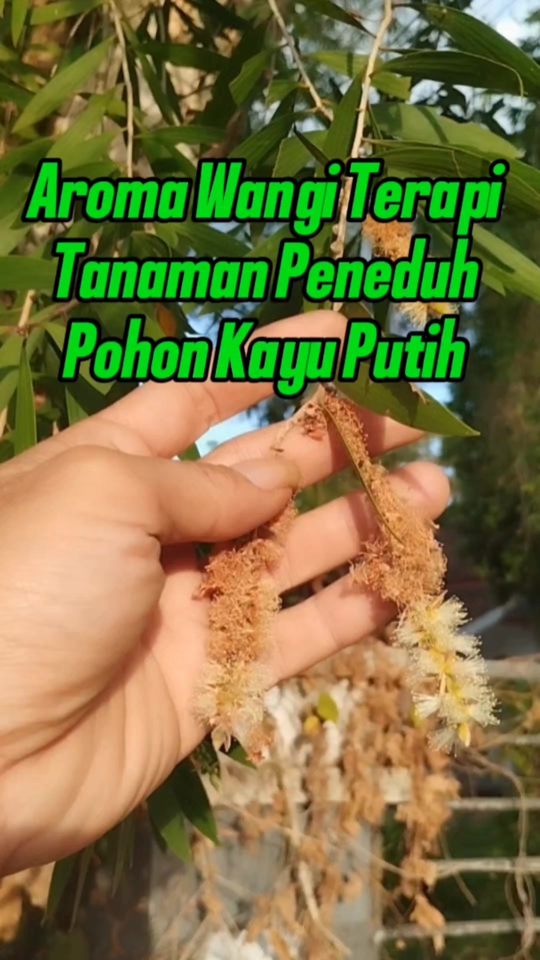 @Bukit Farming