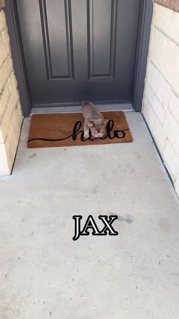 @JAY FROM HOUSTON