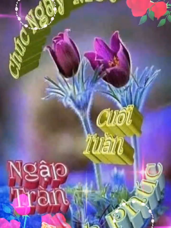 @Huỳnh Văn Được