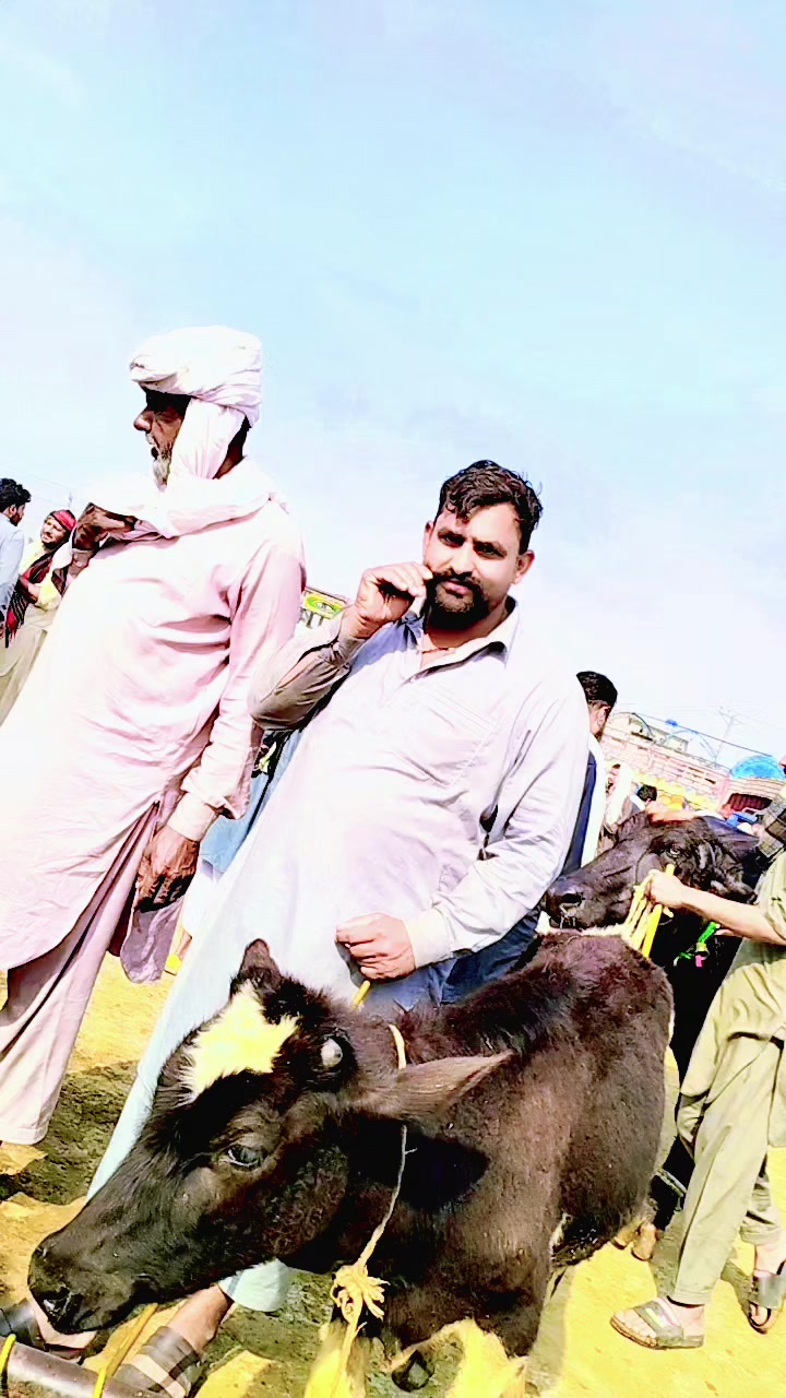 @Tahir_ch00