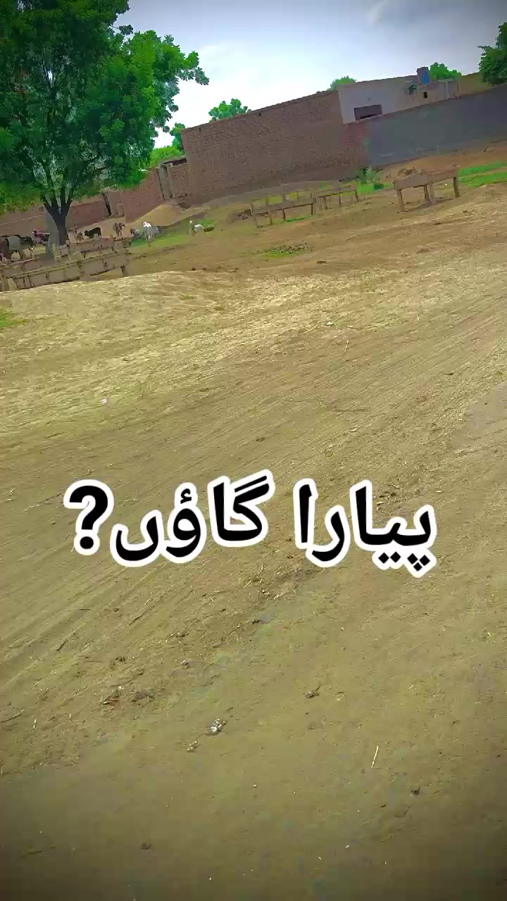 @Tayab Ali