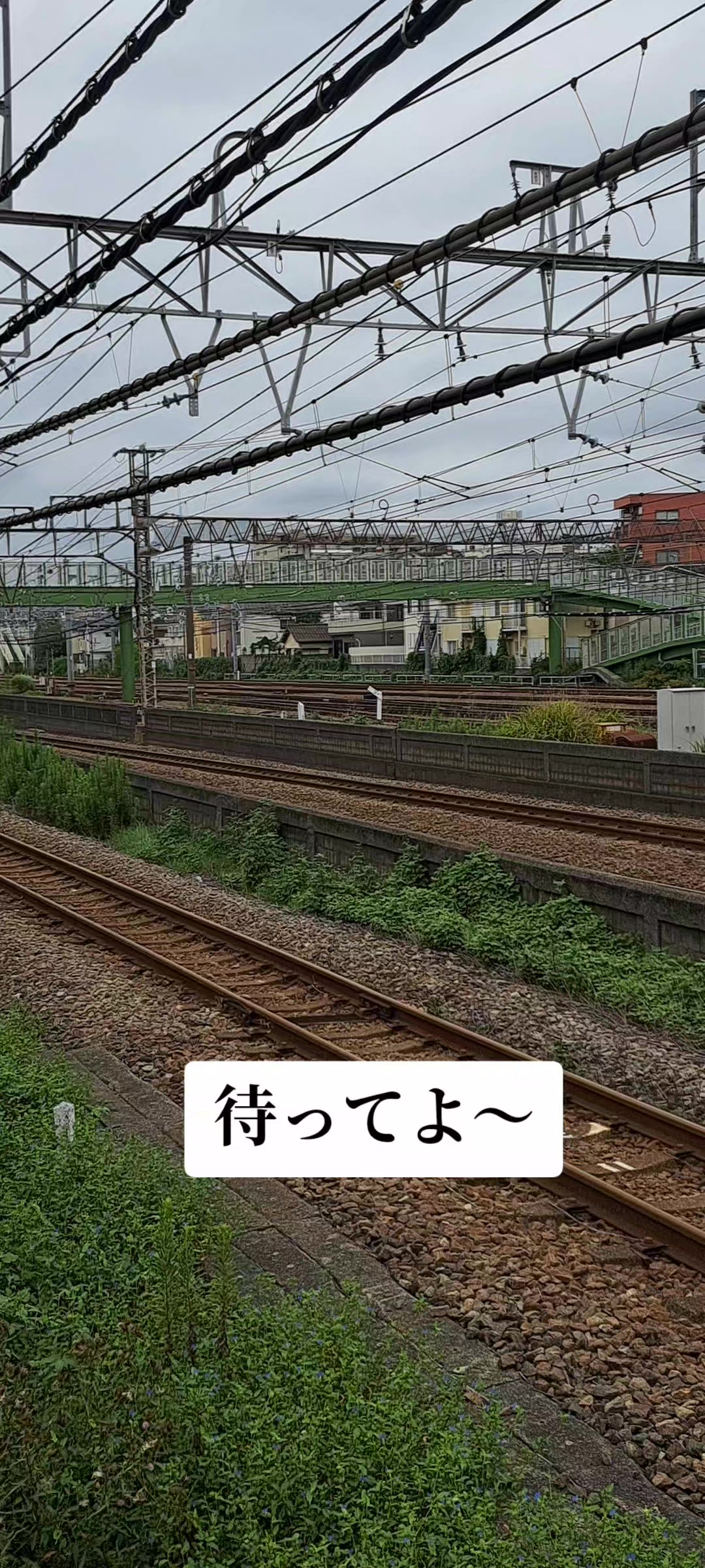@キクが行く鉄道チャンネル(気のままにスマホだけの撮り鉄)