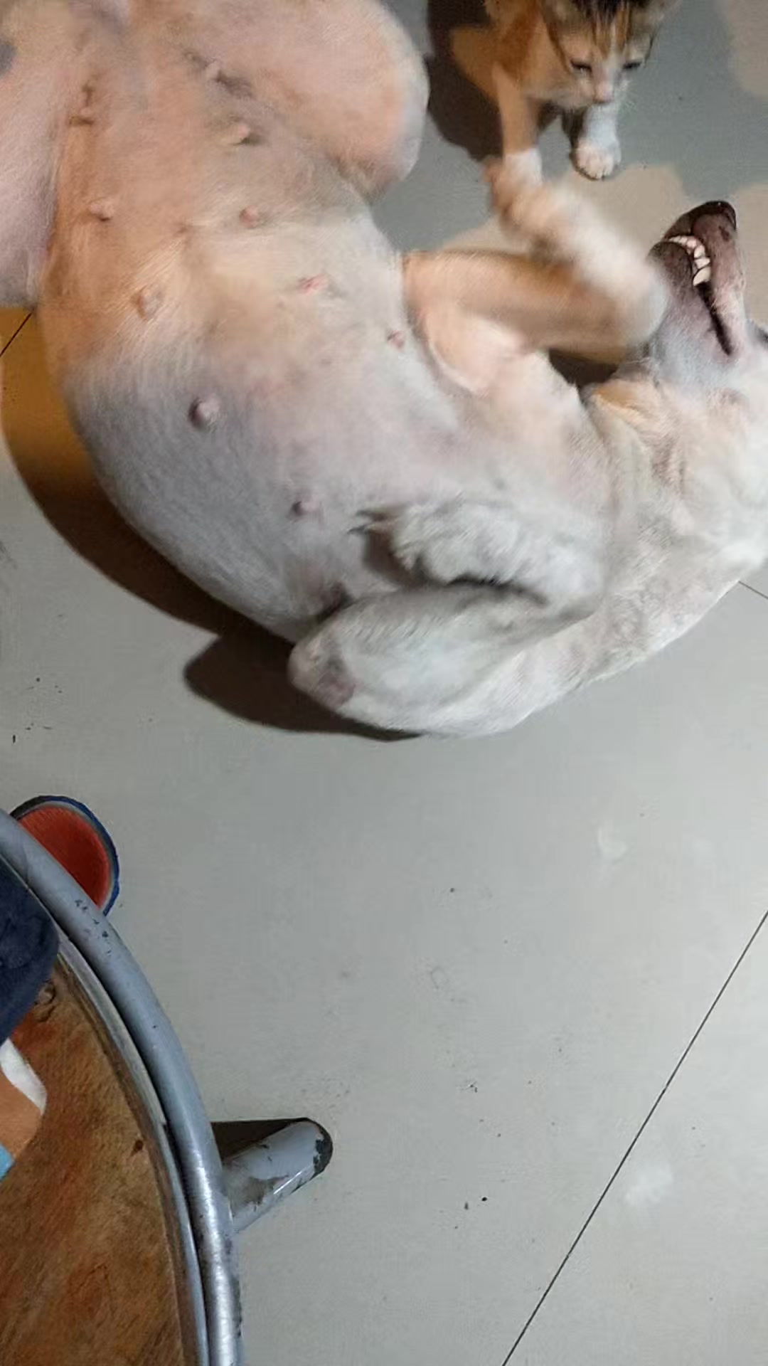 @marichubulayo