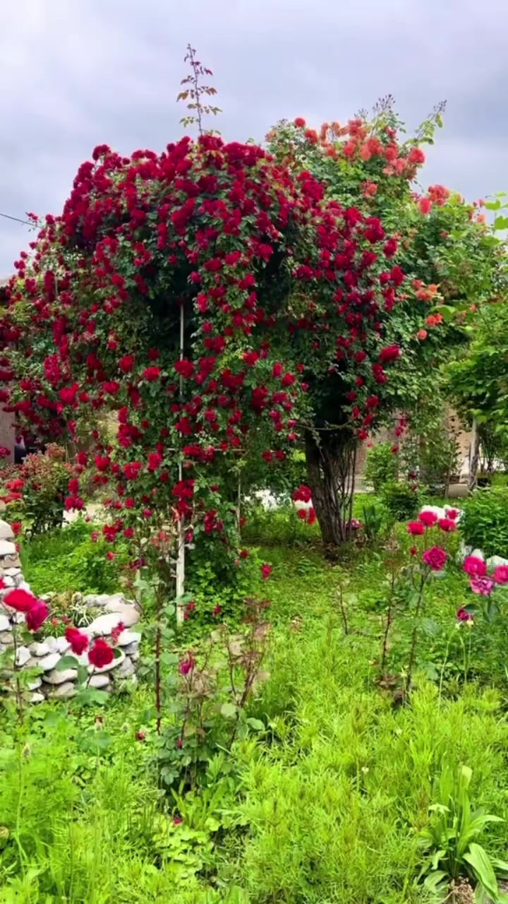 @Madina__32