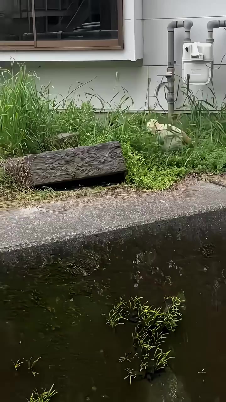 @晃晃悠悠