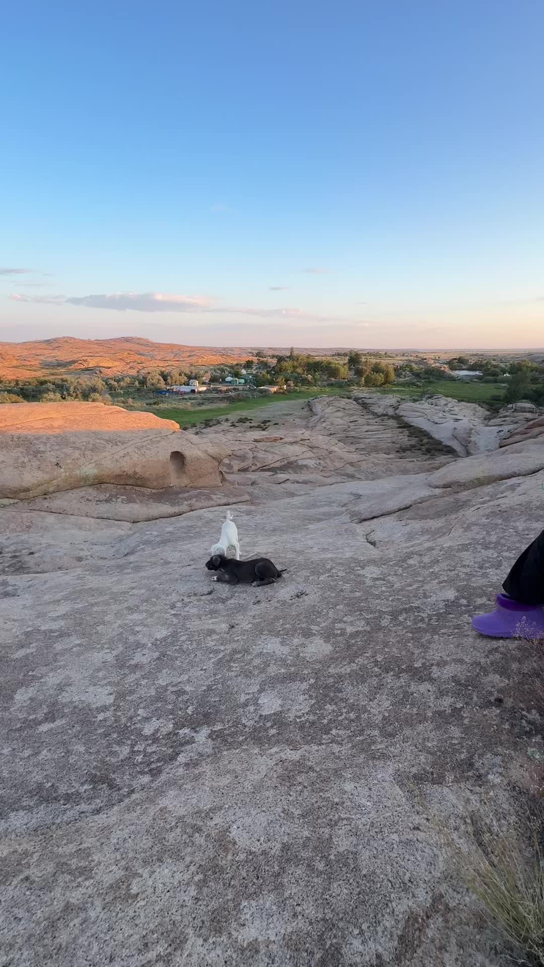 @Daniyar Igembaev