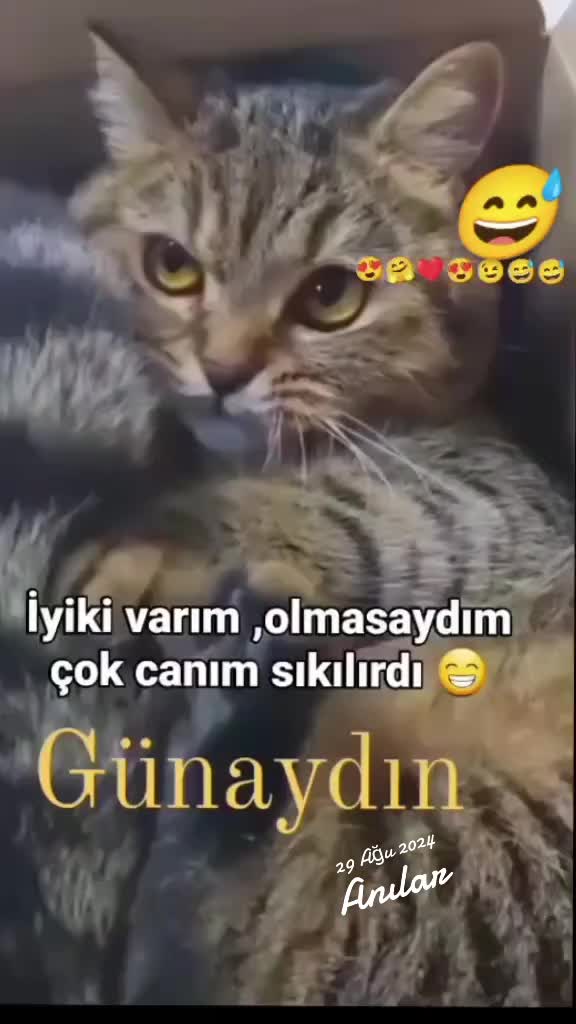 @gamzeli kızı 😊 minnoşlari