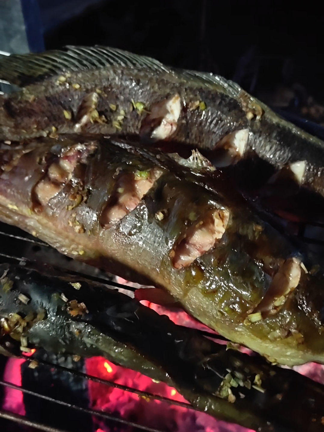 @Cá Chuối Hoa