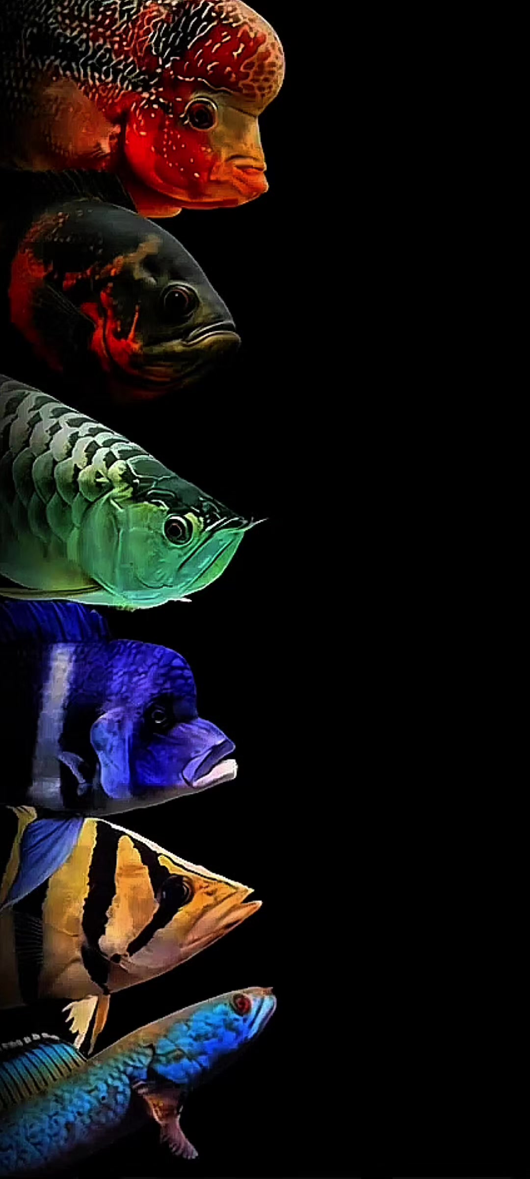 @Live wallpaper