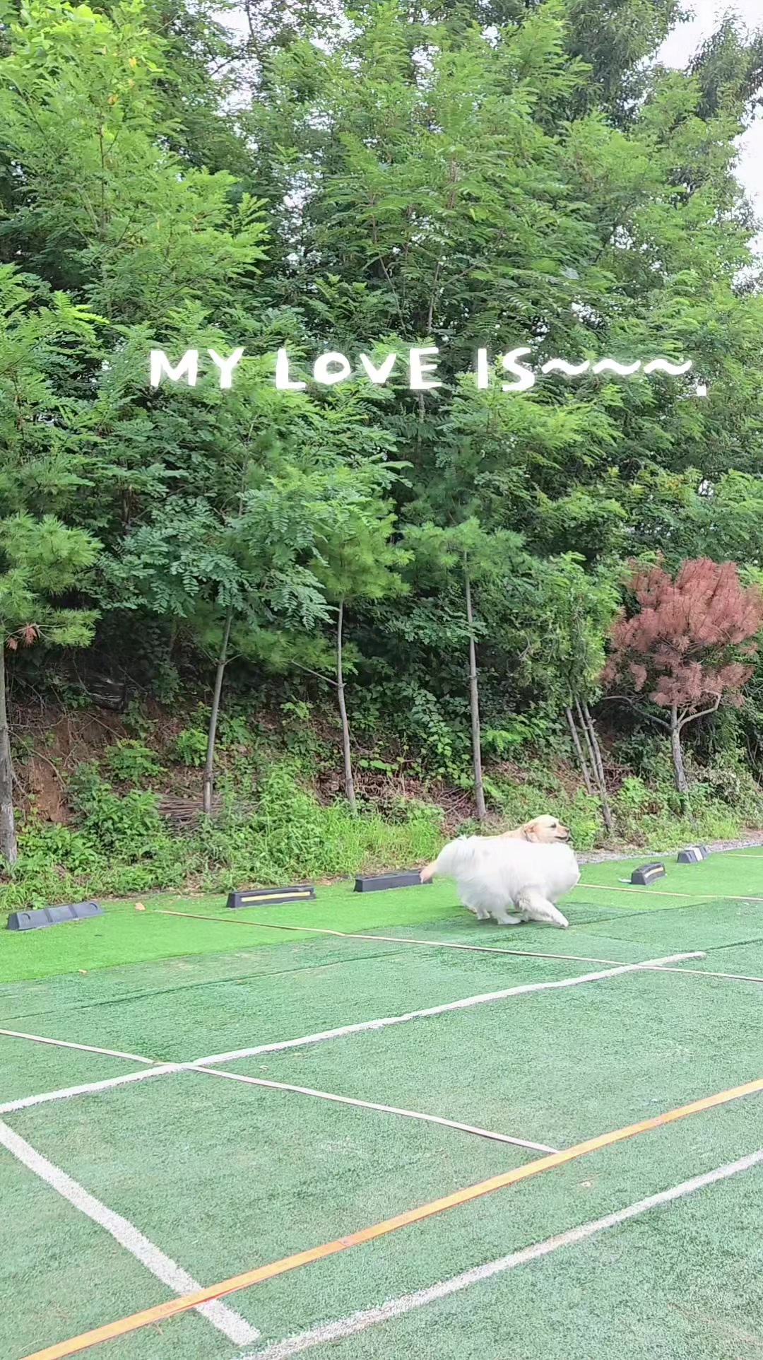 @Leo.willy choi.최원제.