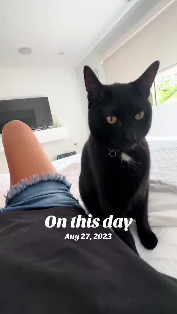 @Oscar Jeremy the cat!