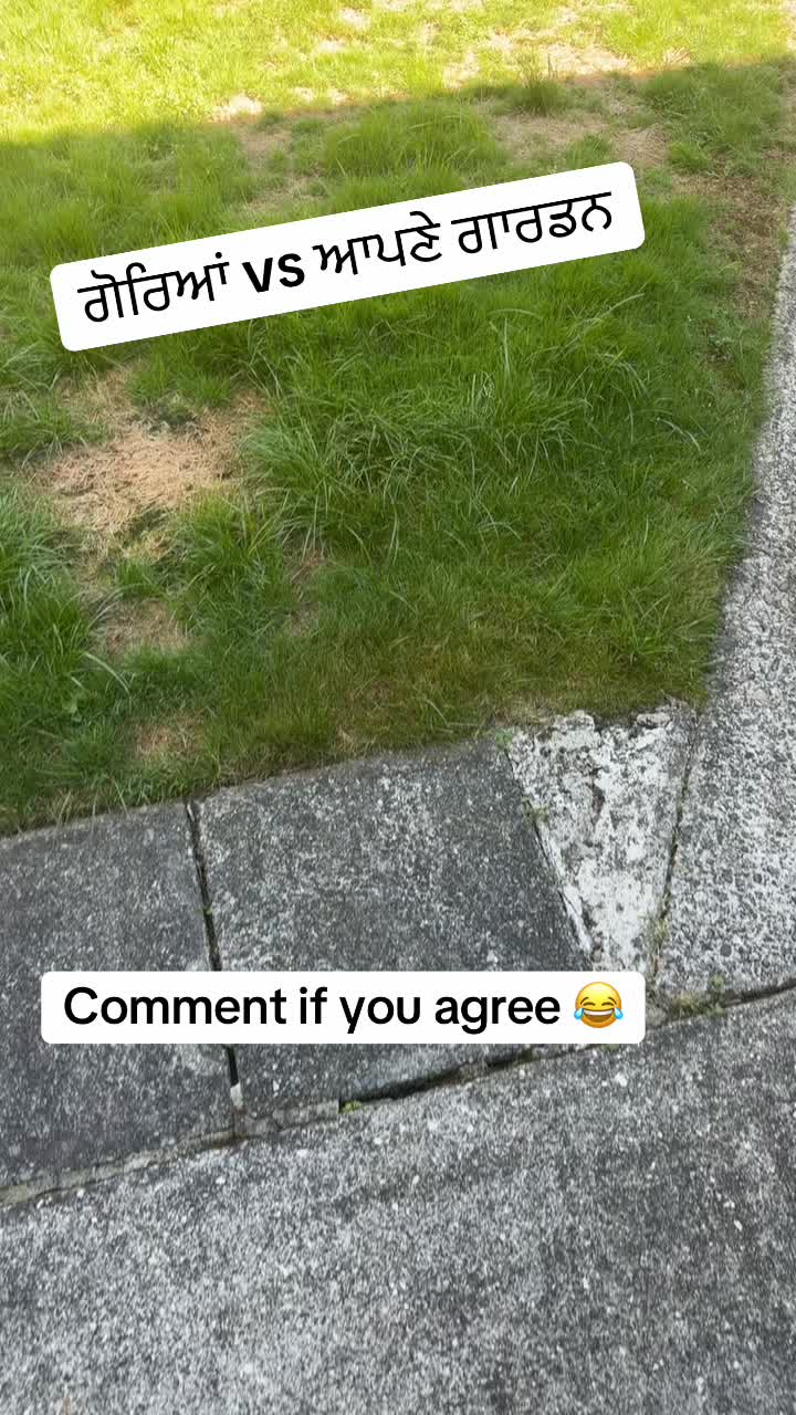 @Goodvibesonly