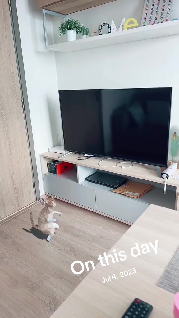 @pssodhi