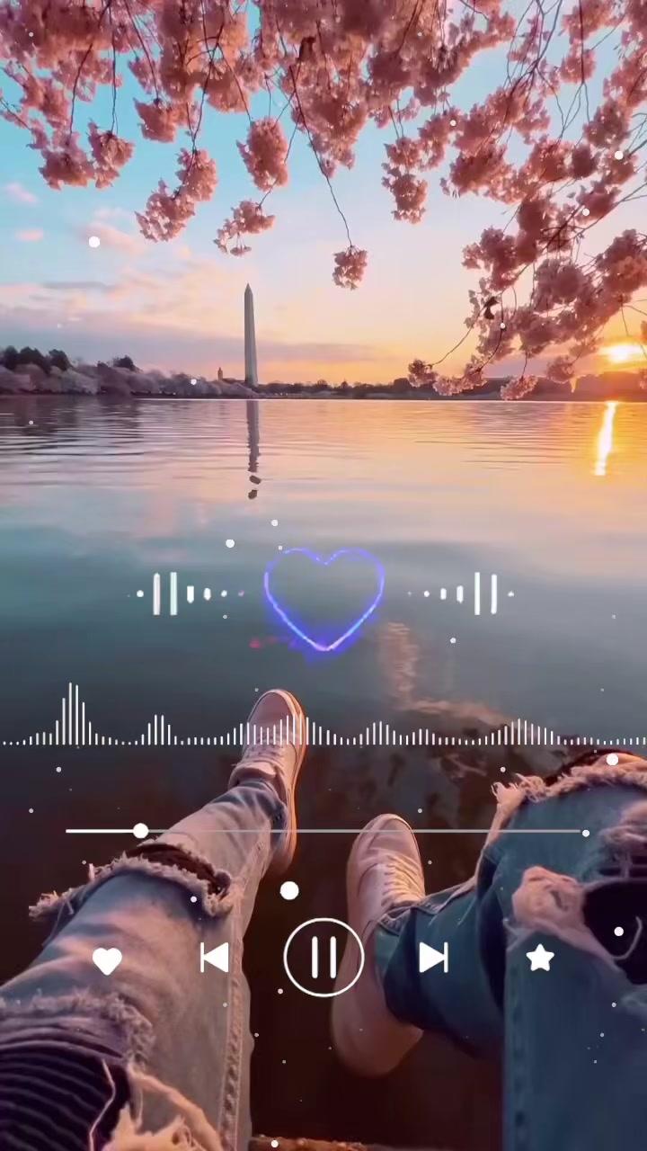 @❣️💫┗━⊱ 𝑹𝒆𝒅 ⊰━┛💫❣️